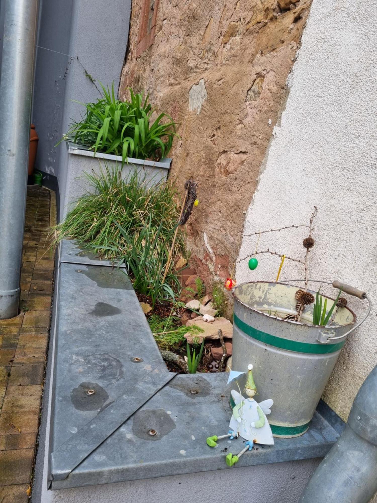 Haus Ziegenblick Villa Herbolzheim Eksteriør bilde
